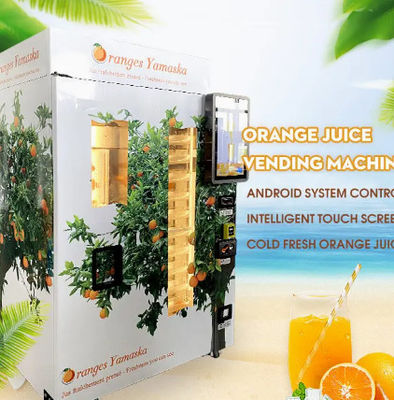 เครื่องจำหน่ายน้ำผลไม้เชิงพาณิชย์ 1000W เครื่องคั้นน้ำส้มคั้นสด
