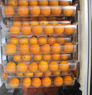 เครื่องจำหน่ายน้ำส้มสดผลไม้อัตโนมัติ 1,000W สำหรับร้านซูเปอร์มาร์เก็ต